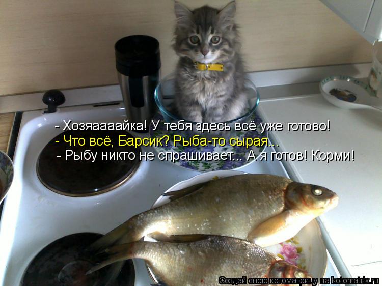 - Хозяаааайка! У тебя здесь всё уже готово! - Что всё, Барсик? Рыба-то сырая... - Рыбу никто не спраш... Котоматрица: - Хозяаааайка! У тебя здесь всё уже готово! - Что всё, Барсик? Рыба-то сырая... - Рыбу никто не спрашивает... А я готов! Корми!
