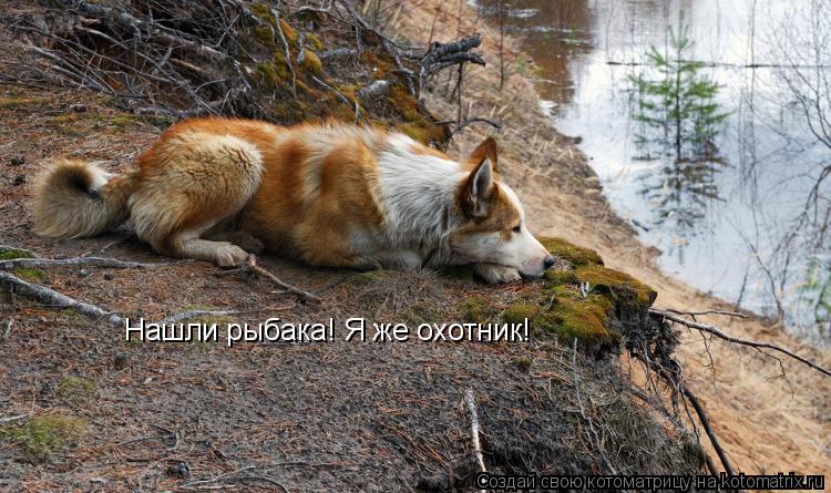 Нашли рыбака! Я же охоьник Нашли рыбака! Я же охотник!... Котоматрица: Нашли рыбака! Я же охоьник Нашли рыбака! Я же охотник!
