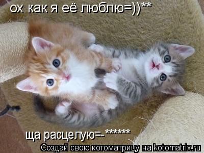 ох как я её люблю=))** ща расцелую=-******... Котоматрица: ох как я её люблю=))** ща расцелую=-******