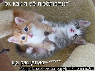 Котоматрица: ох как я её люблю=))** ща расцелую=-******