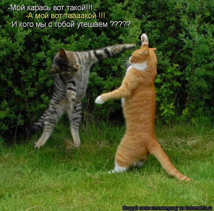 -Мой карась вот такой!!! -А мой вот таааакой !!! И кого мы с тобой утешаем ?????... Котоматрица: -Мой карась вот такой!!! -А мой вот таааакой !!! И кого мы с тобой утешаем ?????
