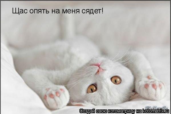 Щас опять на меня сядет!... Котоматрица: Щас опять на меня сядет!