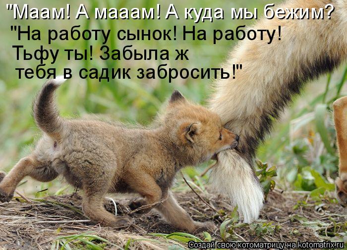 Котоматрица: "Маам! А мааам! А куда мы бежим? "На работу сынок! На работу! Тьфу ты! Забыла ж  тебя в садик забросить!"