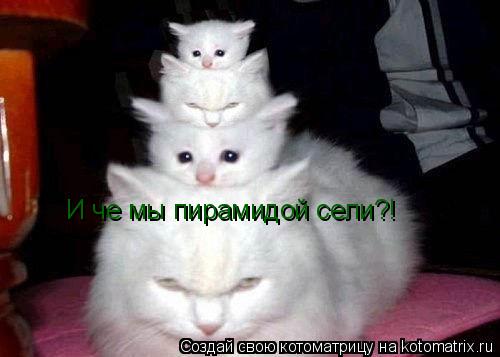 Котоматрица: И че мы пирамидой сели?!