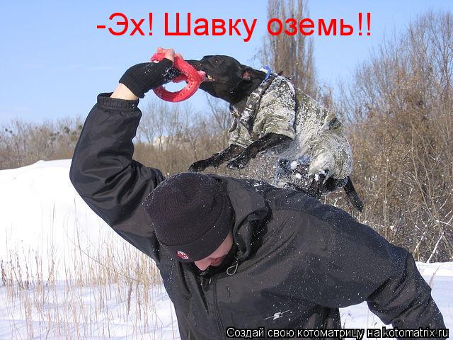 Котоматрица: -Эх! Шавку оземь!!