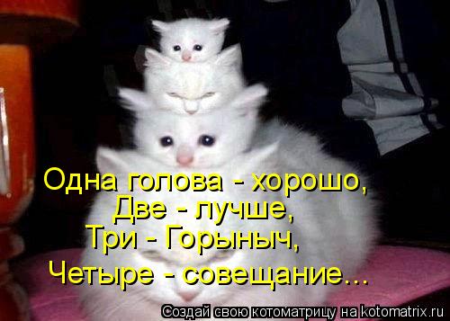 Котоматрица: Одна голова - хорошо, Две - лучше, Три - Горыныч, Четыре - совещание...