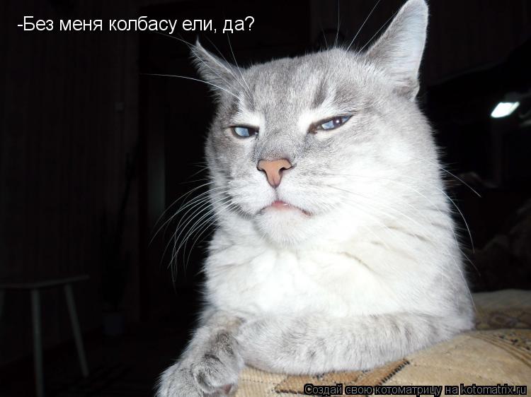 -Без меня колбасу ели, да?... Котоматрица: -Без меня колбасу ели, да?