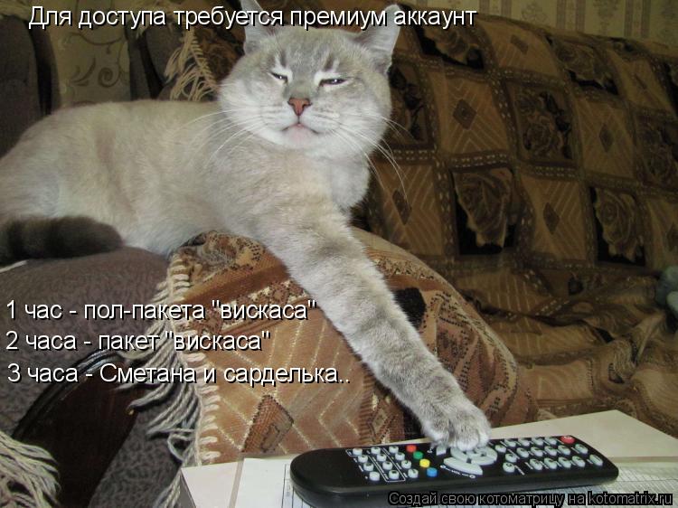 Для доступа требуется премиум аккаунт 1 час - пол-пакета "вискаса" 2 часа - пакет "вискаса" 3 часа - ... Котоматрица: Для доступа требуется премиум аккаунт 1 час - пол-пакета "вискаса" 2 часа - пакет "вискаса" 3 часа - Сметана и сарделька..