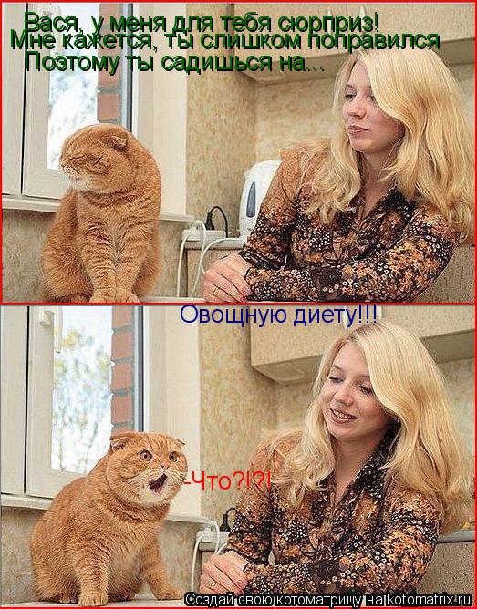 Вася, у меня для тебя сюрприз! Мне кажется, ты слишком поправился Поэтому ты садишься на... Овощную д... Котоматрица: Вася, у меня для тебя сюрприз! Мне кажется, ты слишком поправился Поэтому ты садишься на... Овощную диету!!! -Что?!?!