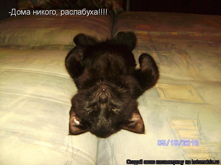 -Дома никого, раслабуха!!!!... Котоматрица: -Дома никого, раслабуха!!!!