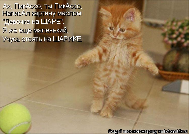 Ах, ПикАссо, ты ПикАссо, НаписАл картину маслом "Девочка на ШАРЕ". Я же еще маленький, Учусь стоять н... Котоматрица: Ах, ПикАссо, ты ПикАссо, НаписАл картину маслом "Девочка на ШАРЕ". Я же еще маленький, Учусь стоять на ШАРИКЕ
