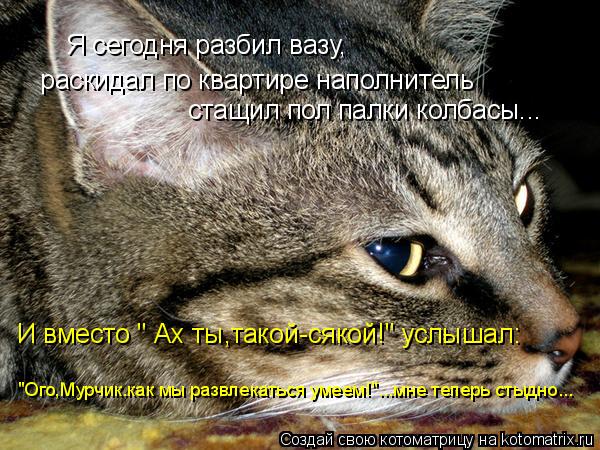 Я сегодня разбил вазу, раскидал по квартире наполнитель стащил пол палки колбасы... И вместо " Ах ты... Котоматрица: Я сегодня разбил вазу, раскидал по квартире наполнитель стащил пол палки колбасы... И вместо " Ах ты,такой-сякой!" услышал: "Ого,Мурчик.как мы