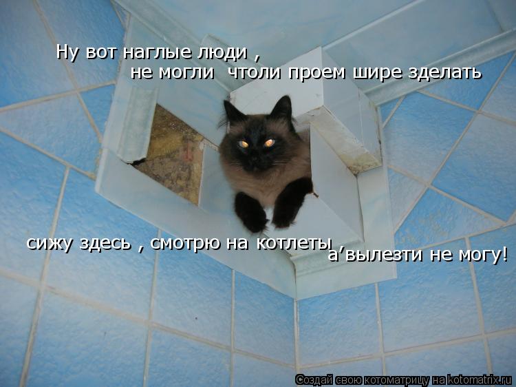 Ну вот наглые люди , не могли чтоли проем шире зделать сижу здесь , смотрю на котлеты , а вылезти н... Котоматрица: Ну вот наглые люди , не могли чтоли проем шире зделать сижу здесь , смотрю на котлеты , а вылезти не могу!