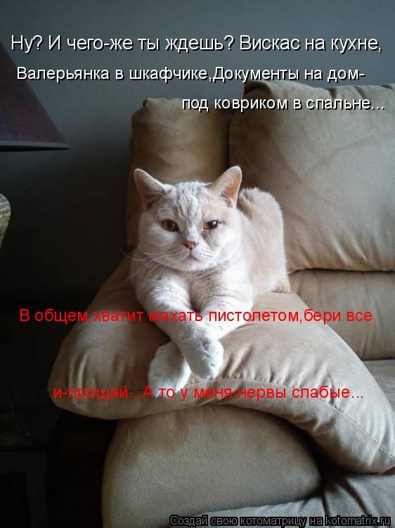 Ну? И чего-же ты ждешь? Вискас на кухне, Валерьянка в шкафчике,Документы на дом- под ковриком в спаль... Котоматрица: Ну? И чего-же ты ждешь? Вискас на кухне, Валерьянка в шкафчике,Документы на дом- под ковриком в спальне... В общем,хватит махать пистолетом,бер