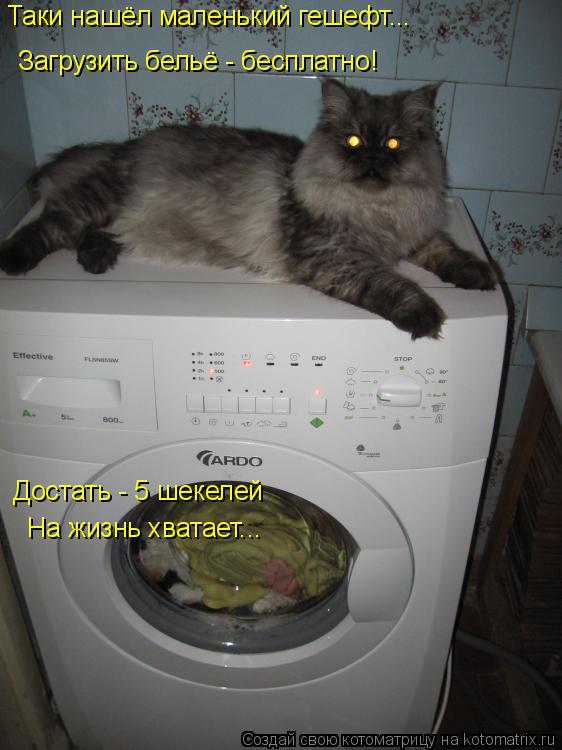 Таки нашёл маленький гешефт... Загрузить бельё - бесплатно! Достать - 5 шекелей На жизнь хватает...... Котоматрица: Таки нашёл маленький гешефт... Загрузить бельё - бесплатно! Достать - 5 шекелей На жизнь хватает...
