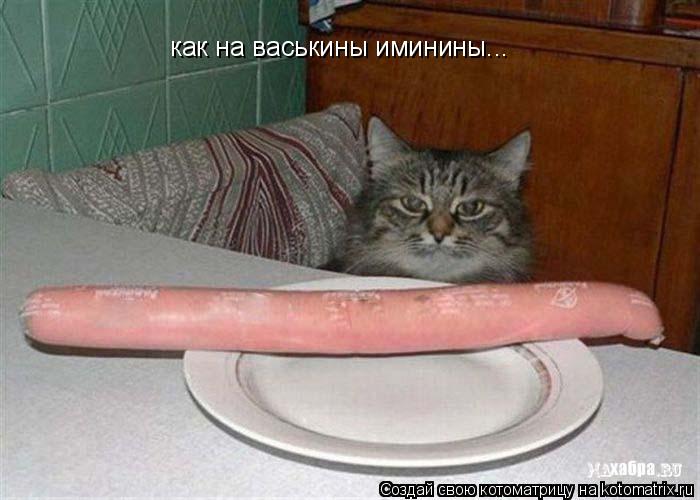 как на васькины иминины...... Котоматрица: как на васькины иминины...