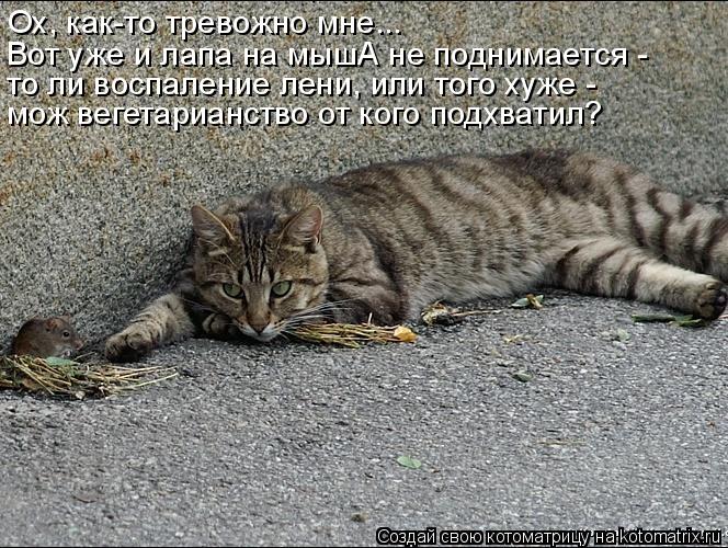 Ох, как-то тревожно мне... Вот уже и лапа на мышА не поднимается - то ли воспаление лени, или того х... Котоматрица: Ох, как-то тревожно мне... Вот уже и лапа на мышА не поднимается - то ли воспаление лени, или того хуже - мож вегетарианство от кого подхватил?