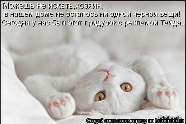 Можешь не искать,хозяин, в нашем доме не осталось ни одной черной вещи! Сегодня у нас был этот придур... Котоматрица: Можешь не искать,хозяин, в нашем доме не осталось ни одной черной вещи! Сегодня у нас был этот придурок с рекламой Тайда...