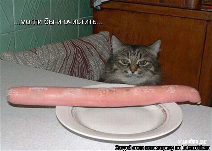 ...могли бы и очистить...... Котоматрица: ...могли бы и очистить...