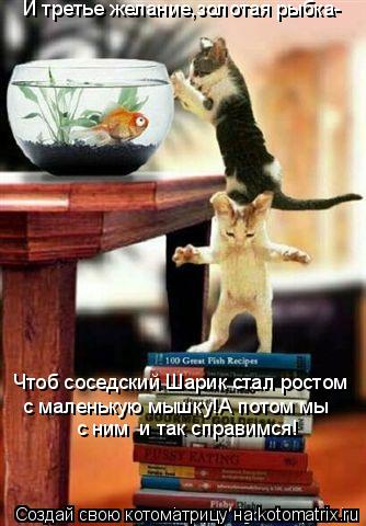 И третье желание,золотая рыбка- Чтоб соседский Шарик стал ростом с маленькую мышку!А потом мы с ним ... Котоматрица: И третье желание,золотая рыбка- Чтоб соседский Шарик стал ростом с маленькую мышку!А потом мы с ним и так справимся!