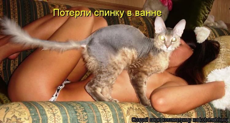 Потерли спинку в ванне... Котоматрица: Потерли спинку в ванне