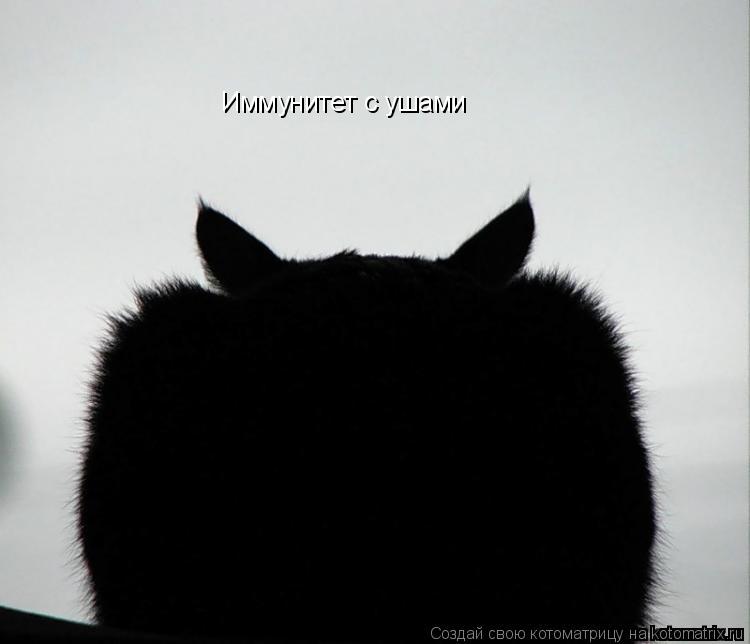 Иммунитет с ушами... Котоматрица: Иммунитет с ушами