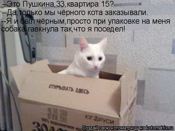 --Это Пушкина,33,квартира 15? --Да,только мы чёрного кота заказывали. --Я и был чёрным,просто при упа... Котоматрица: --Это Пушкина,33,квартира 15? --Да,только мы чёрного кота заказывали. --Я и был чёрным,просто при упаковке на меня собака гавкнула так,что я посед