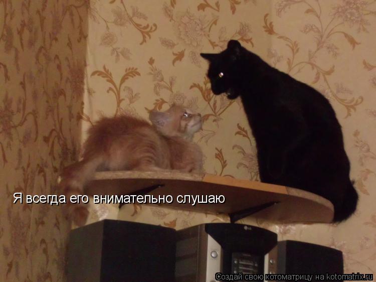 Я всегда его внимательно слушаю... Котоматрица: Я всегда его внимательно слушаю