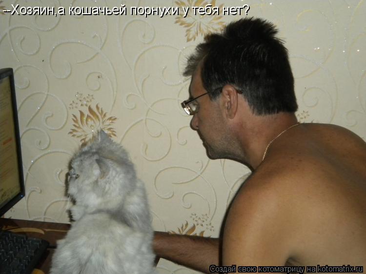 --Хозяин,а кошачьей порнухи у тебя нет?... Котоматрица: --Хозяин,а кошачьей порнухи у тебя нет?