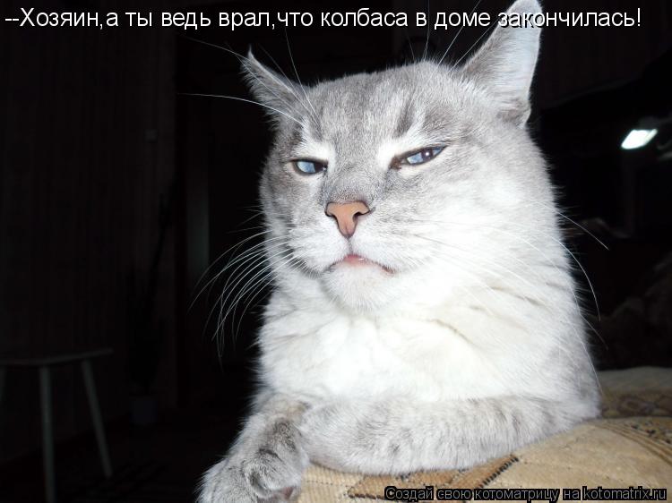--Хозяин,а ты ведь врал,что колбаса в доме закончилась!... Котоматрица: --Хозяин,а ты ведь врал,что колбаса в доме закончилась!