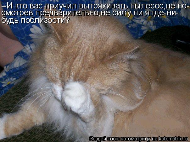 --И кто вас приучил вытряхивать пылесос,не по- смотрев предварительно,не сижу ли я где-ни- будь побли... Котоматрица: --И кто вас приучил вытряхивать пылесос,не по- смотрев предварительно,не сижу ли я где-ни- будь поблизости?