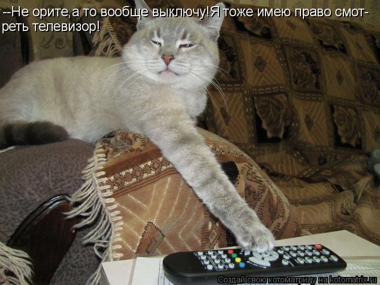 --Не орите,а то вообще выключу!Я тоже имею право смот- реть телевизор!... Котоматрица: --Не орите,а то вообще выключу!Я тоже имею право смот- реть телевизор!