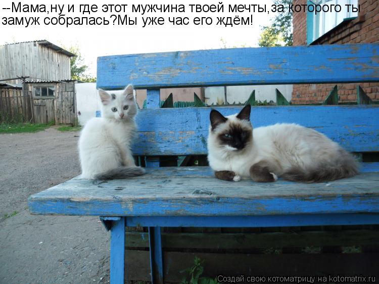 --Мама,ну и где этот мужчина твоей мечты,за которого ты замуж собралась?Мы уже час его ждём!... Котоматрица: --Мама,ну и где этот мужчина твоей мечты,за которого ты замуж собралась?Мы уже час его ждём!