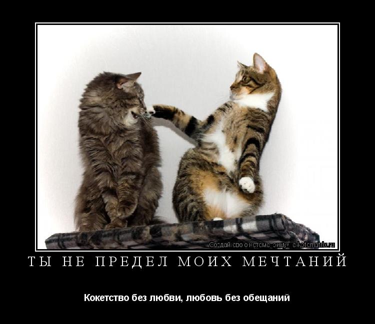 Ты не предел моих мечтаний Кокетство без любви, любовь без обещаний... Котоматрица: Ты не предел моих мечтаний Кокетство без любви, любовь без обещаний