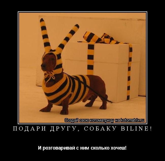 Подари другу, Собаку Biline! И розговаривай с ним сколько хочеш!... Котоматрица: Подари другу, Собаку Biline! И розговаривай с ним сколько хочеш!