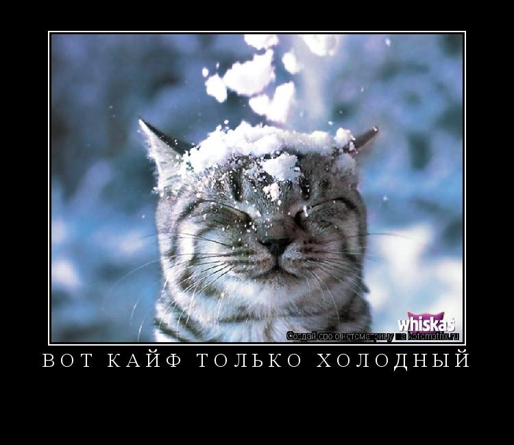 вот кайф только холодный ... Котоматрица: вот кайф только холодный