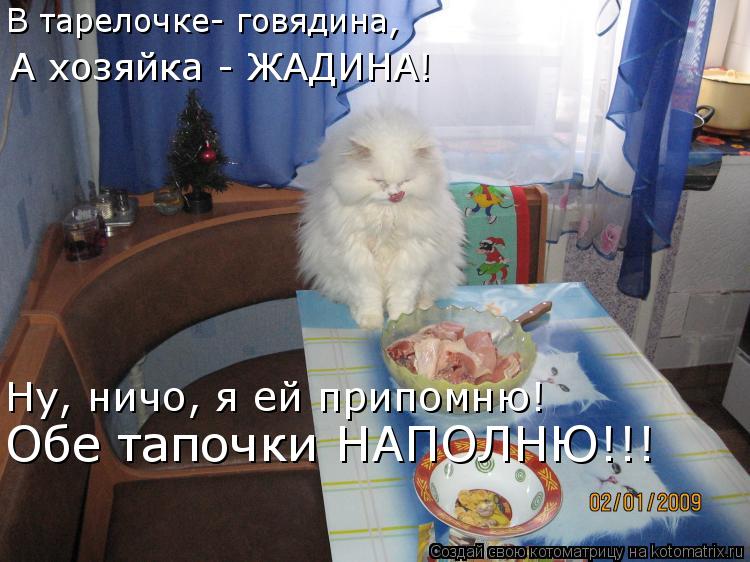 Котоматрица: В тарелочке- говядина, А хозяйка - ЖАДИНА! Ну, ничо, я ей припомню! Обе тапочки НАПОЛНЮ!!!