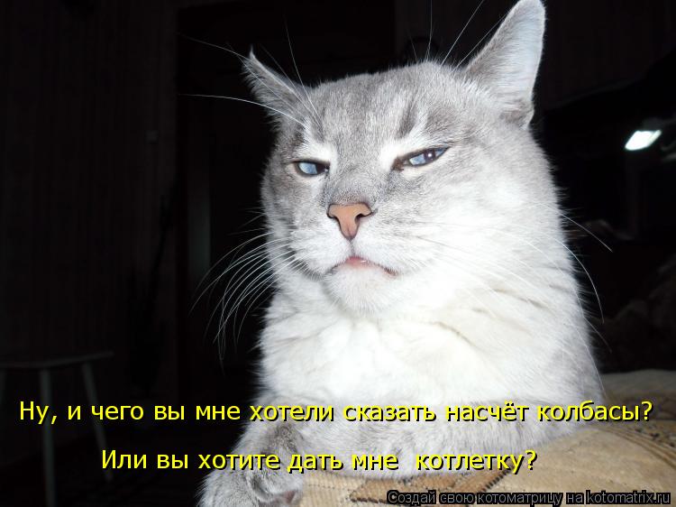 Котоматрица: Ну, и чего вы мне хотели сказать насчёт колбасы? Или вы хотите дать мне  котлетку?