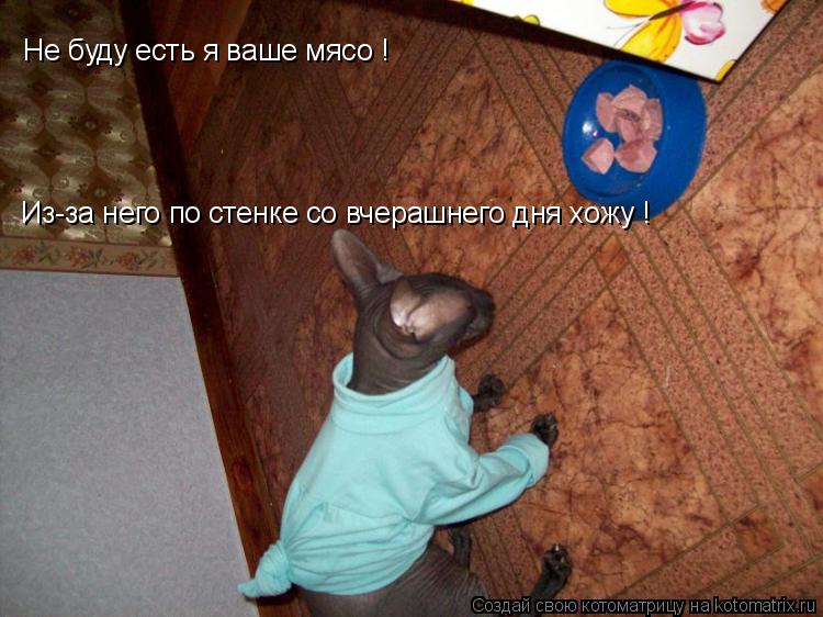 Котоматрица: Не буду есть я ваше мясо !  Из-за него по стенке со вчерашнего дня хожу !