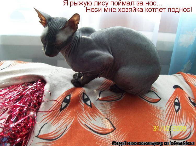 Котоматрица: Я рыжую лису поймал за нос... Неси мне хозяйка котлет поднос!