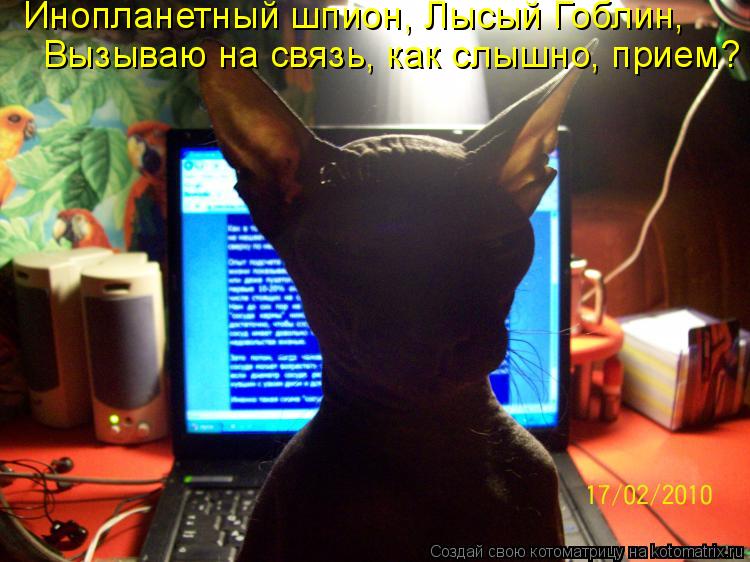 Котоматрица: Инопланетный шпион, Лысый Гоблин,  Вызываю на связь, как слышно, прием?
