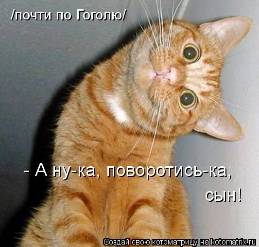 Котоматрица: - А ну-ка, поворотись-ка, сын! /почти по Гоголю/