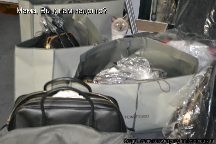 Котоматрица: Мама, Вы к нам надолго?