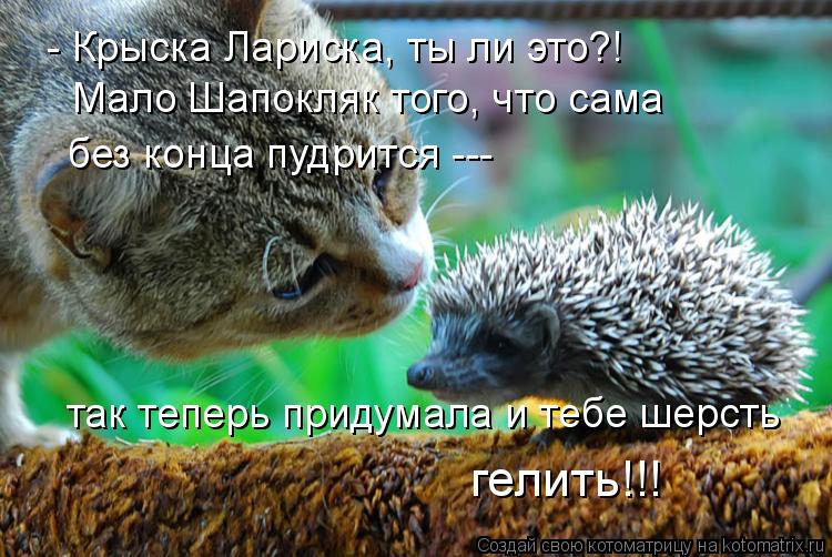 - Крыска Лариска, ты ли это?! Мало Шапокляк того, что сама без конца пудрится --- так теперь придума... Котоматрица: - Крыска Лариска, ты ли это?! Мало Шапокляк того, что сама без конца пудрится --- так теперь придумала и тебе шерсть гелить!!!