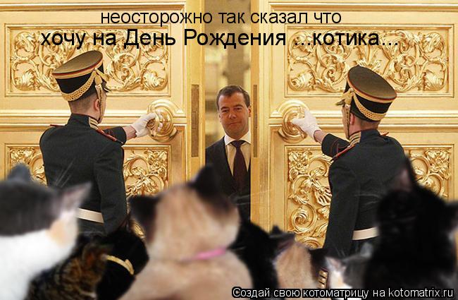 Котоматрица: неосторожно так сказал что хочу на День Рождения ...котика...