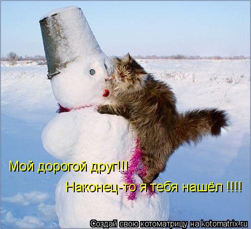 Котоматрица: Мой дорогой друг!!! Наконец-то я тебя нашёл !!!!