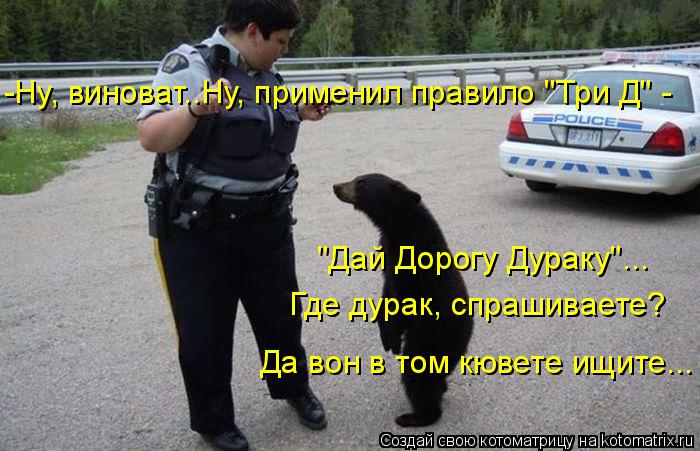 Котоматрица: -Ну, виноват..Ну, применил правило "Три Д" - "Дай Дорогу Дураку"... Где дурак, спрашиваете?  Да вон в том кювете ищите...