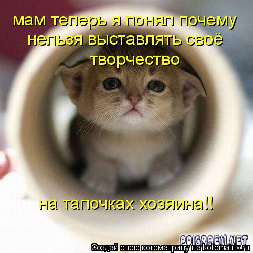 мам теперь я понял почему нельзя выставлять своё творчество на тапочках хозяина!! на тапочках хозяин... Котоматрица: мам теперь я понял почему нельзя выставлять своё творчество на тапочках хозяина!! на тапочках хозяина!!