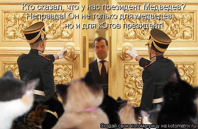 Кто сказал, что у нас президент Медведев? Неправда! Он не только для медведев, но и для кОтов презид... Котоматрица: Кто сказал, что у нас президент Медведев? Неправда! Он не только для медведев, но и для кОтов президент!