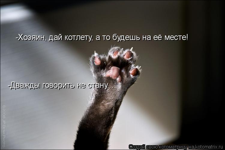 -Хозяин, дай котлету, а то будешь на её месте! -Дважды говорить не стану...... Котоматрица: -Хозяин, дай котлету, а то будешь на её месте! -Дважды говорить не стану...